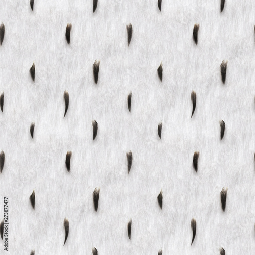 Seamless Fur Pattern Texture Royal Ermine