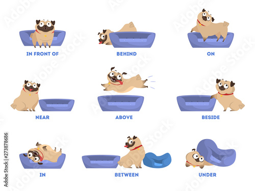 Pug set. Learning preposition concept. Animal above and behind