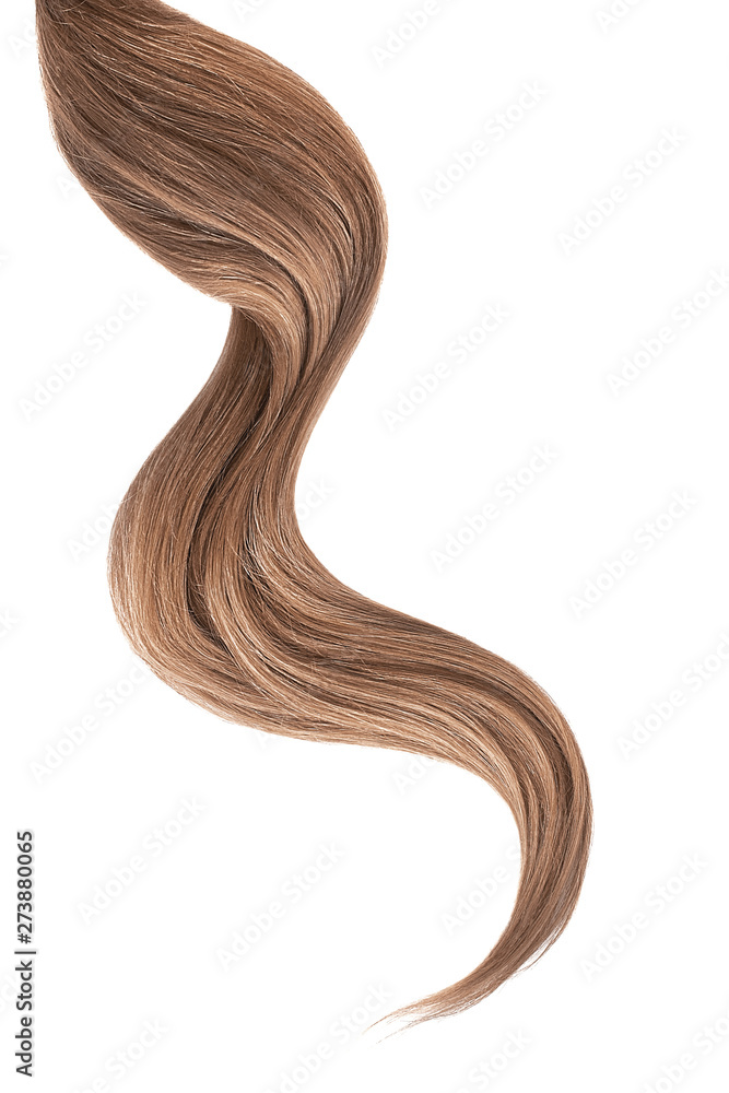 Brown hair isolated on white background. Long wavy ponytail Brown hair isolated on white background. Long wavy ponytail