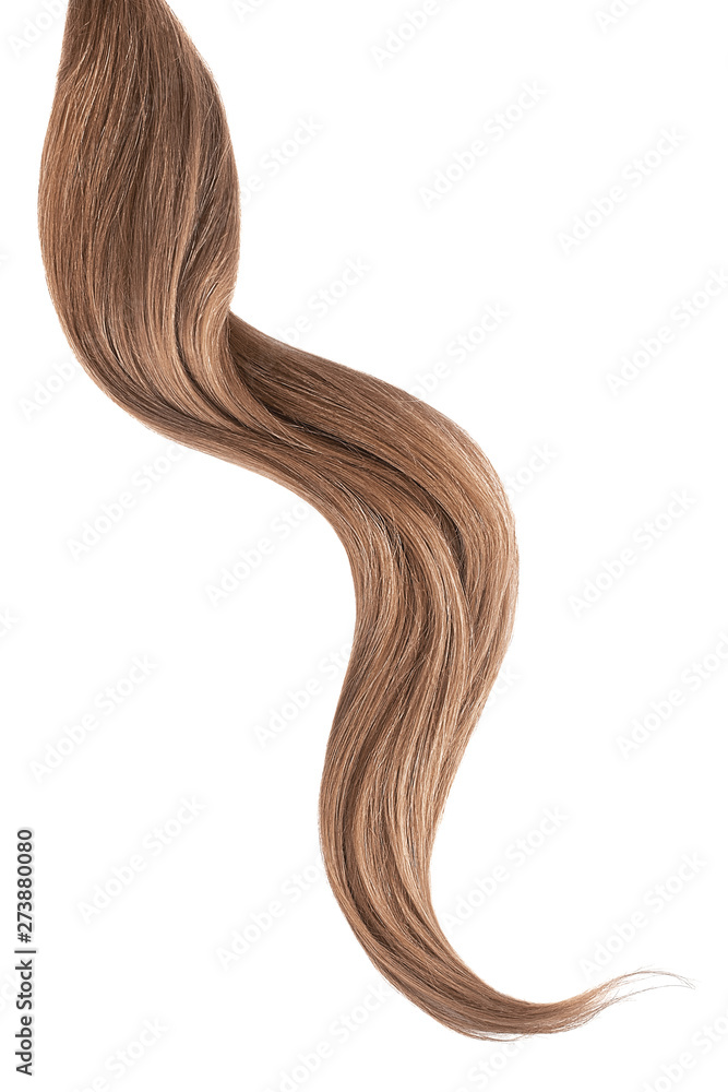 Brown hair isolated on white background. Long wavy ponytail Brown hair isolated on white background. Long wavy ponytail