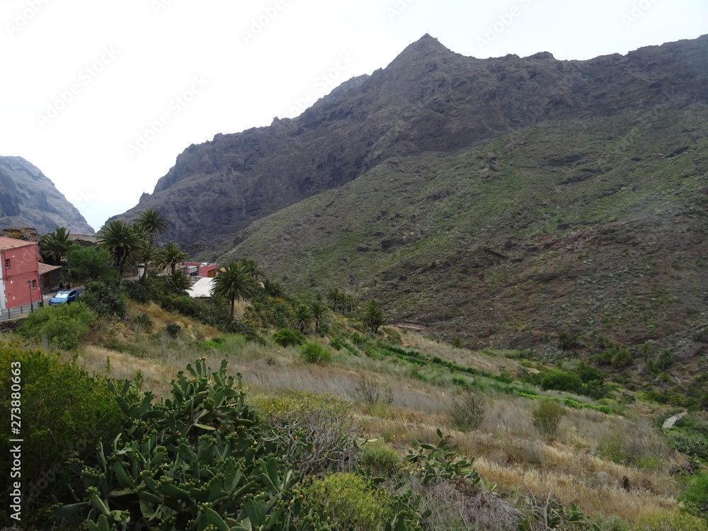 Obraz premium Barranco de Masca, Tenerife
