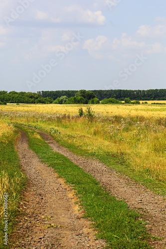 road to summer steppe landscape. field and blue sky