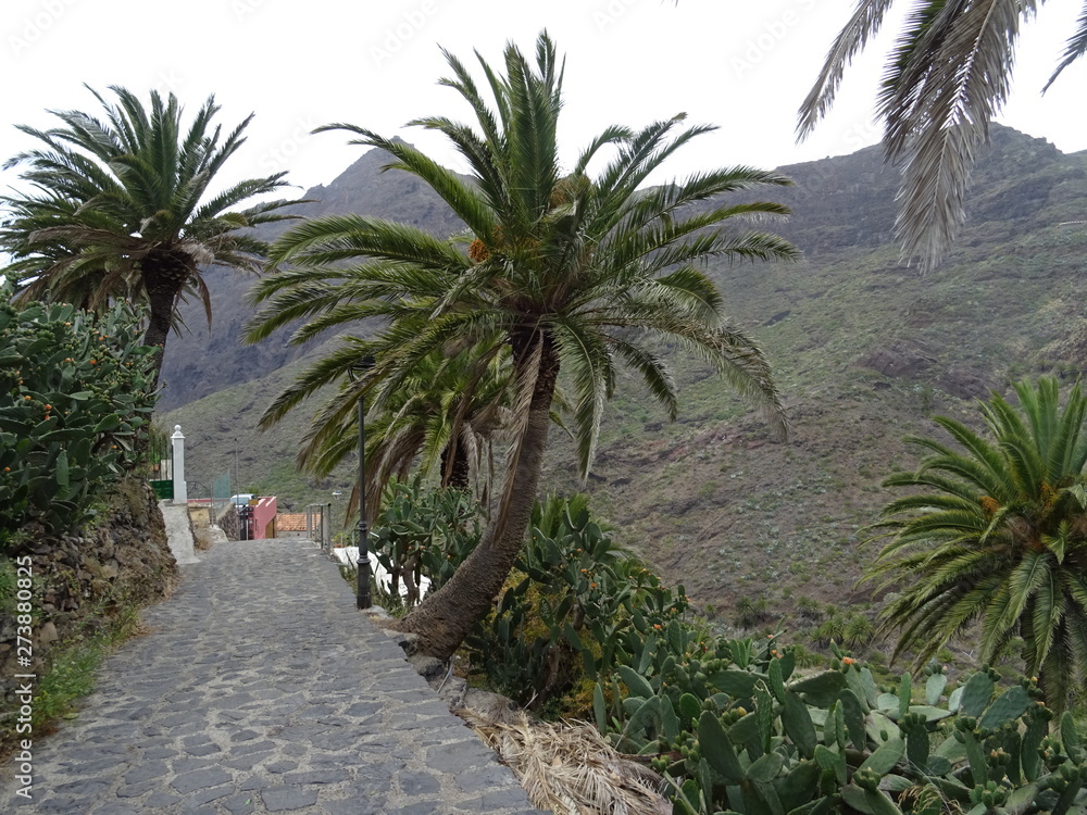 Barranco de Masca, Tenerife