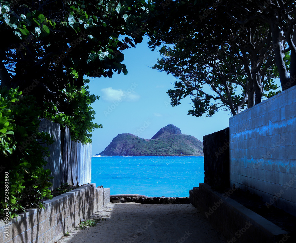 ハワイ ラニカイビーチ 青く綺麗な空 海 遠浅の綺麗な砂浜への抜け道 Stock Photo Adobe Stock