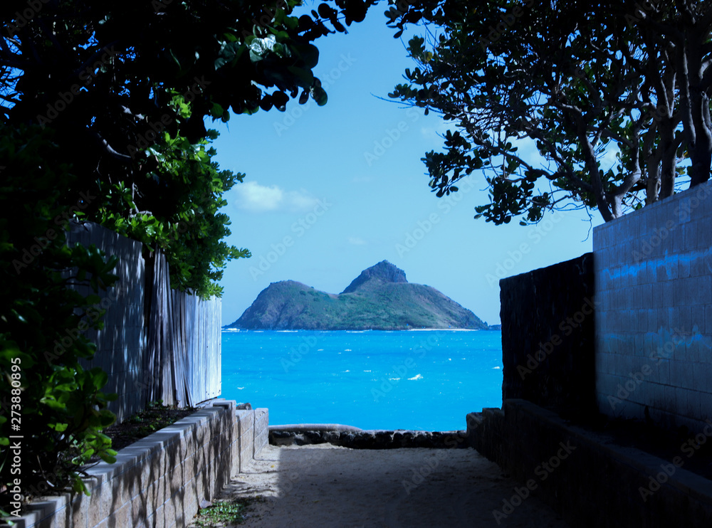 ハワイ ラニカイビーチ 青く綺麗な空 海 遠浅の綺麗な砂浜への抜け道 Stock 写真 Adobe Stock