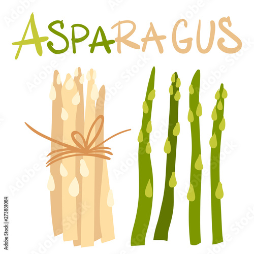 Vegetables. Asparagus green sprouts. Package of healthy and tasty vegan products, healthy vegetarian food. Flat cartoon vector illustration. Vector illustration for menu design, packaging.