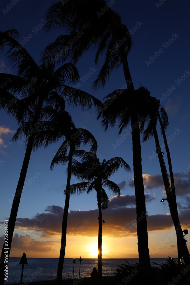 ハワイ オアフ島 サンセット ワイキキビーチの綺麗な夕日とヤシの木 Stock Photo Adobe Stock