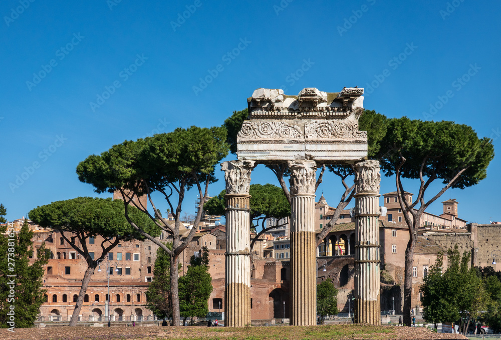 ROME, Italy: Ancient Roman Forum, Foro Romano, Temple of Venus Genetrix with copy space