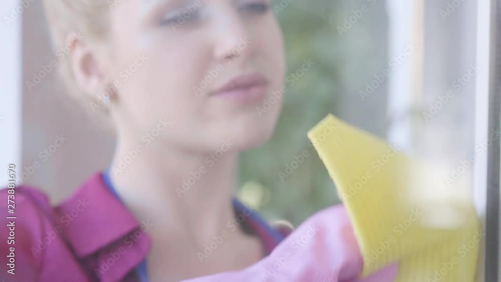 Portrait of tidy young woman housewife clean window with window rag, millennial girl cleaner at home. Housekeeping household housework and cleaning service concept. Portrait of tidy young woman housewife clean window with window rag, millennial girl cleaner at home. Housekeeping household housework and cleaning service concept.