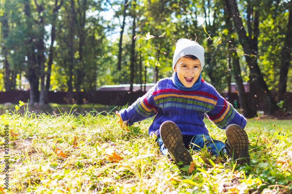 boy in sweater and hat sitting on the grass boy in sweater and hat sitting on the grass
