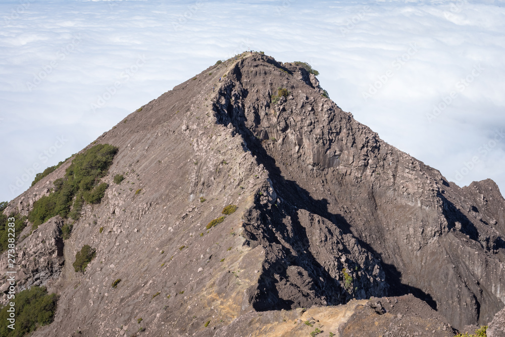 An extreme track to Raung mount summit called 'Puncak Sejati'. Raung is the most challenging of all Java’s mountain trails, also is one of the most active volcanoes on the island of Java in Indonesia. An extreme track to Raung mount summit called 'Puncak Sejati'. Raung is the most challenging of all Java’s mountain trails, also is one of the most active volcanoes on the island of Java in Indonesia.
