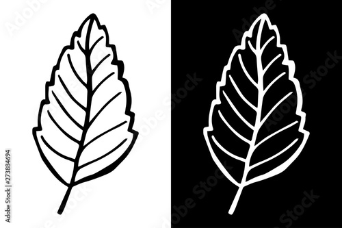 leaf herb floral hand drawn sketch black and white doodle