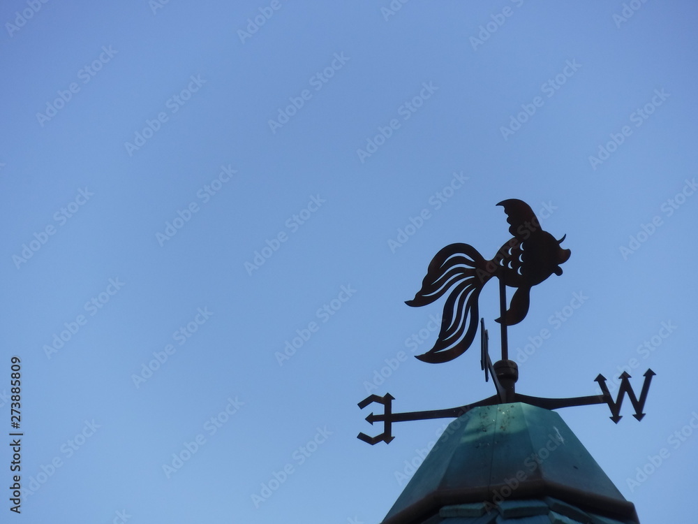 Compass point of life  - 人生の道しるべ