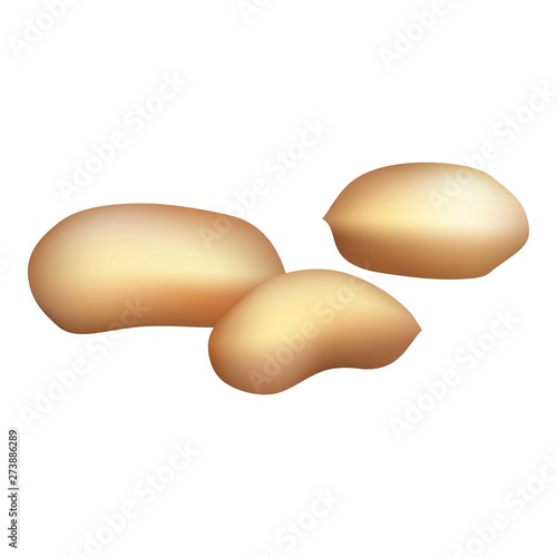 Clean peanut icon. Cartoon of clean peanut vector icon for web design isolated on white background