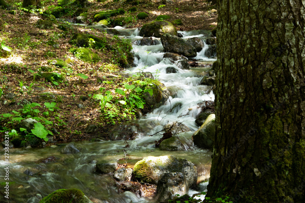 Peaceful forest landscape with small river cascade falls over mossy rocks