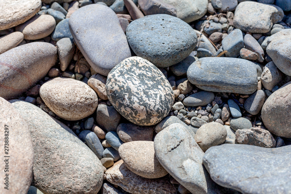 Gray blue stone by the river on a summer day Gray blue stone by the river on a summer day