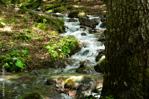 Peaceful forest landscape with small river cascade falls over mossy rocks