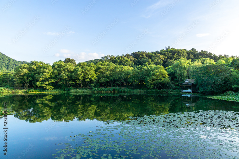 Fototapeta premium lake in forest