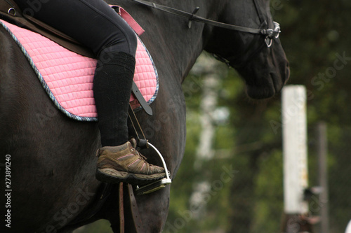 Amateur rider rides a black horse outside, Details of horseback riding.