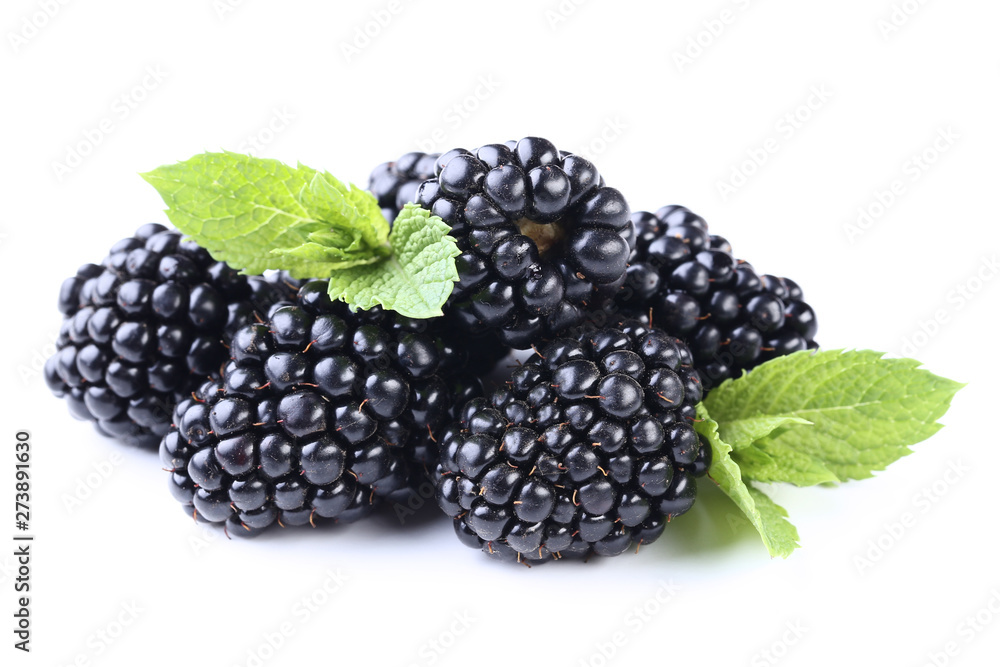 Ripe blackberries isolated on white background Ripe blackberries isolated on white background