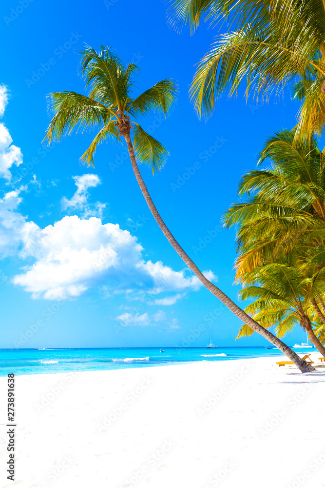 tropical paradise beach wallpaper