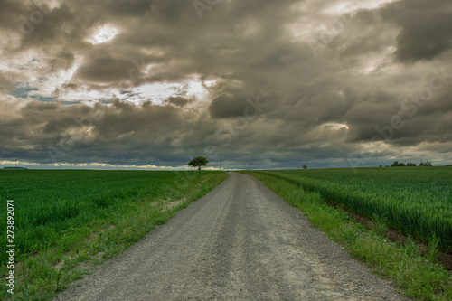 Gravel road through green fields and dark clouds in the sky