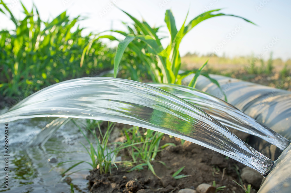 Layflat irrigation tube system for leveledtograde cornfield