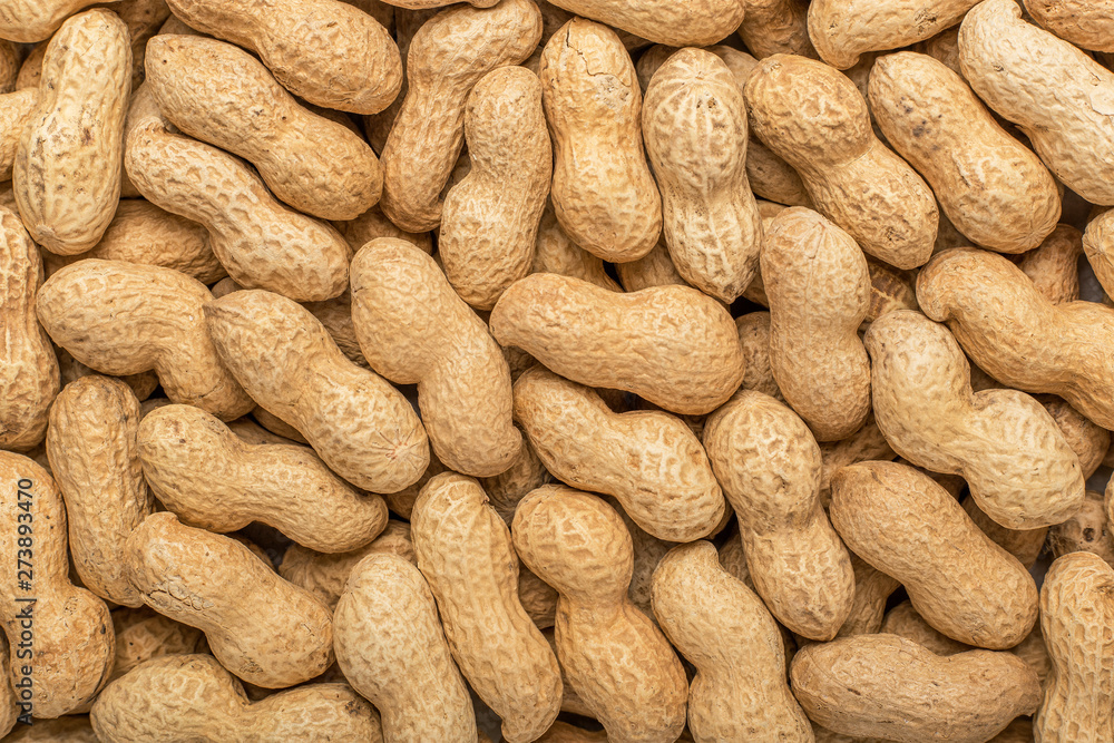 Peanuts in the shell. Texture for designers. Food. Background of peanuts. Peanuts in the shell. Texture for designers. Food. Background of peanuts.
