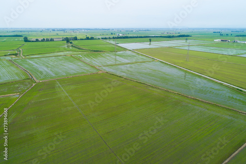 Flooded fields for rice cultivation seen from above, panorama of the Po Valley, Piedmont, Italy