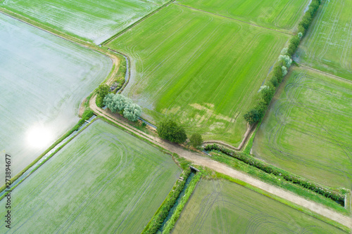 Принти на полотні Flooded fields for rice cultivation seen from above