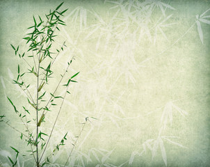 bamboo on old paper background