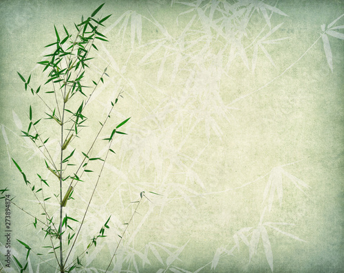 bamboo on old paper background © xiaoliangge
