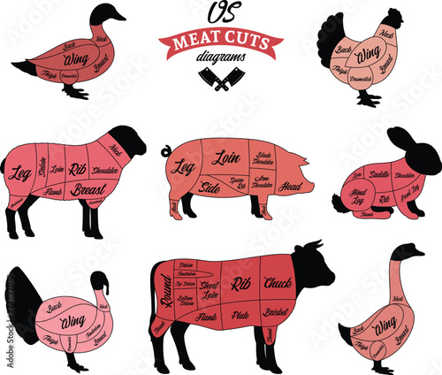 American (US) Meat Cuts Diagrams