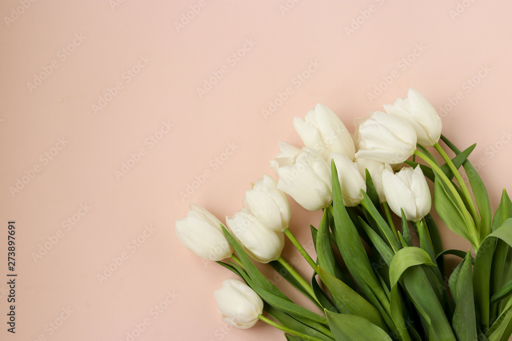 Bouquet of fresh spring white tulips lies on a light pastel background, Copy space