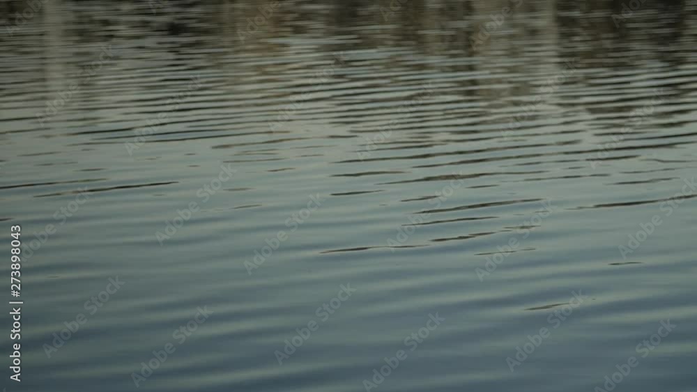 Calm water close up. Tranquil scene river water reflections of blue sky. Peaceful water, beauty in nature concept. Calm water close up. Tranquil scene river water reflections of blue sky. Peaceful water, beauty in nature concept.