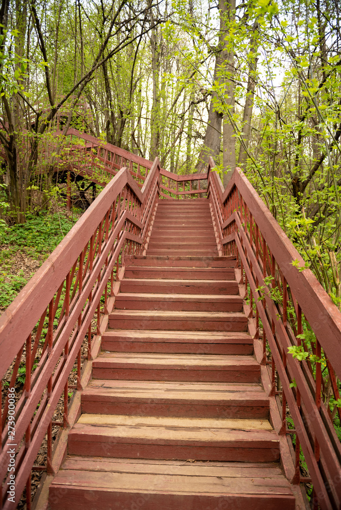 a view, looking up for the top of a long wooden ladder located in a forest. Part of a hiking trail and used to connect viewpoints. Vertical front view a view, looking up for the top of a long wooden ladder located in a forest. Part of a hiking trail and used to connect viewpoints. Vertical front view