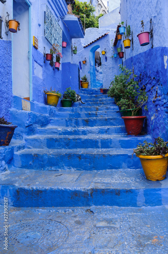 Public walkway in the blue city Chefchaouen / Public walkway in the blue city Chefchaouen, Morocco, Africa.