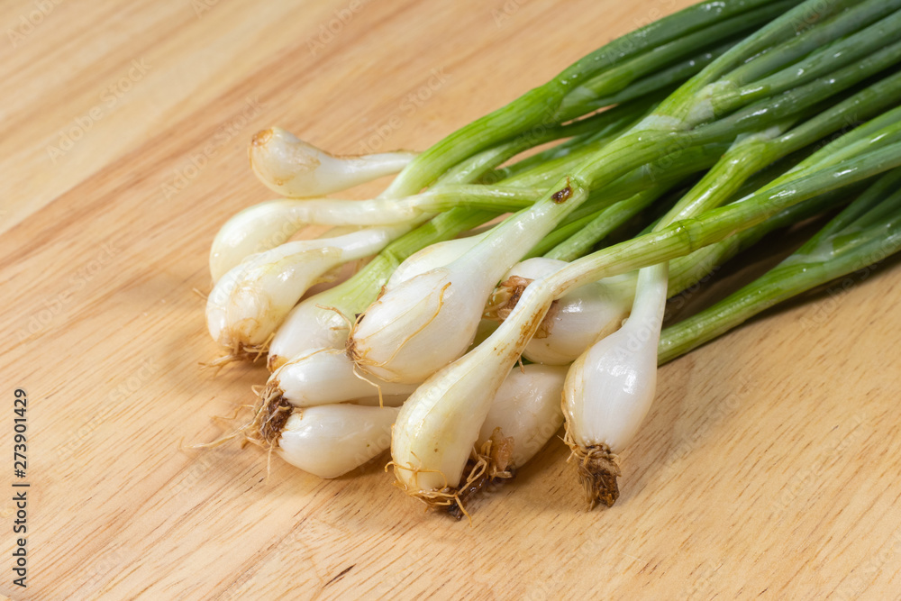 close up of bunch of Scallion or spring onions close up of bunch of Scallion or spring onions