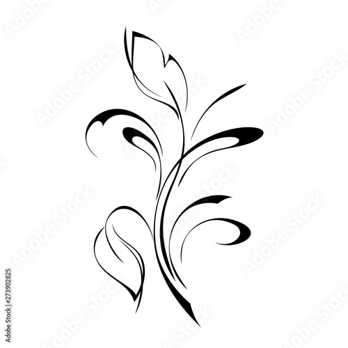 Fototapeta Naklejka Na Ścianę i Meble -  decorative twig with leaves and curls in black lines on a white background