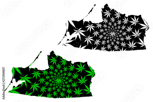 Kaliningrad Oblast (Russia, Subjects of the Russian Federation, Oblasts of Russia) map is designed cannabis leaf green and black, Kaliningrad Region map made of marijuana (marihuana,THC) foliage....