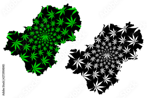 Kaluga Oblast (Russia, Subjects of the Russian Federation, Oblasts of Russia) map is designed cannabis leaf green and black, Kaluga Oblast map made of marijuana (marihuana,THC) foliage....