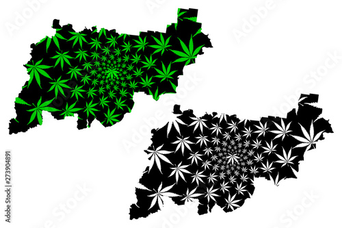 Kostroma Oblast (Russia, Subjects of the Russian Federation, Oblasts of Russia) map is designed cannabis leaf green and black, Kostroma Oblast map made of marijuana (marihuana,THC) foliage....