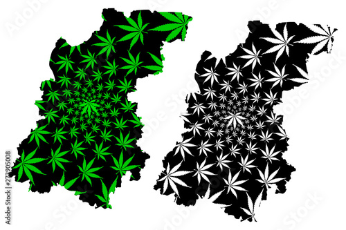 Nizhny Novgorod Oblast (Russia, Russian Federation, Oblasts of Russia) map is designed cannabis leaf green and black, Nizhegorod Oblast (Gorky Oblast) map made of marijuana (marihuana,THC) foliage.... photo