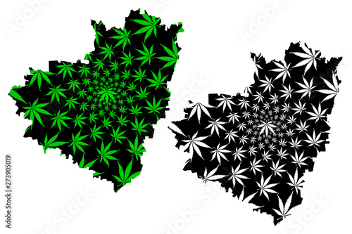 Samara Oblast (Russia, Subjects of the Russian Federation, Oblasts of Russia) map is designed cannabis leaf green and black, Samara Oblast map made of marijuana (marihuana,THC) foliage....