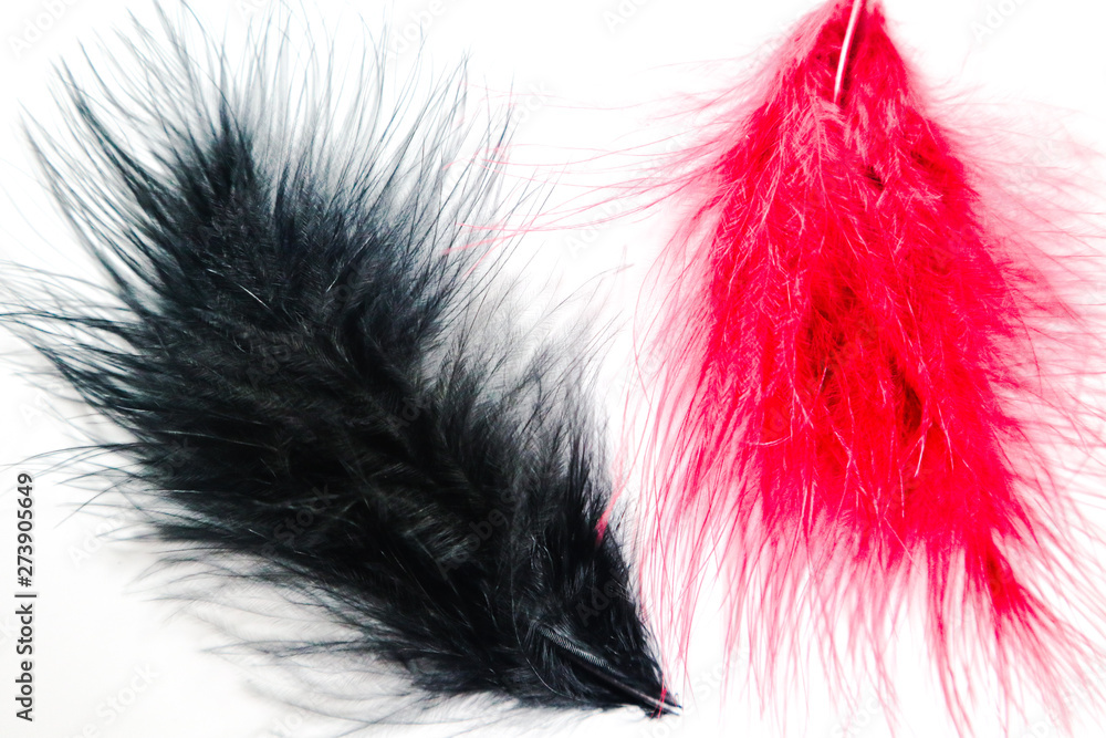 Beautiful abstract texture color red pink and black feathers on the white isolated background and pattern wallpaper Beautiful abstract texture color red pink and black feathers on the white isolated background and pattern wallpaper
