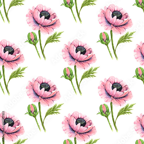 pattern of watercolor pink flowers poppies on a white background