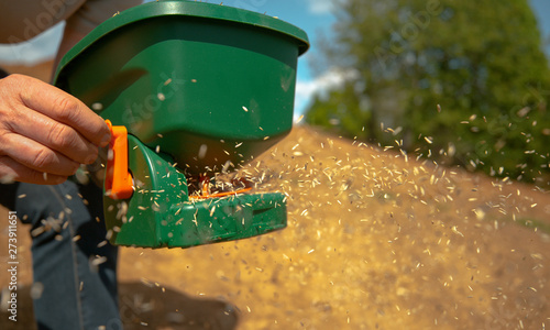 Canvas-taulu CLOSE UP, DOF: Unrecognizable person sowing grass seeds with a plastic device