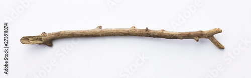 ancient stone age stick , wooden cudgel