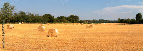 balle di fieno in un campo agricolo di frumento a cusago in italia, bales of hay in an agricultural field of wheat in cusago in italy photo