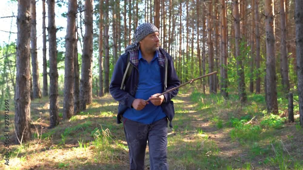 man tourist goes with a backpack in the pine forest man tourist goes with a backpack in the pine forest